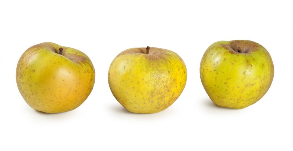 Renneta apples from the Trentino Alto-Adige region.