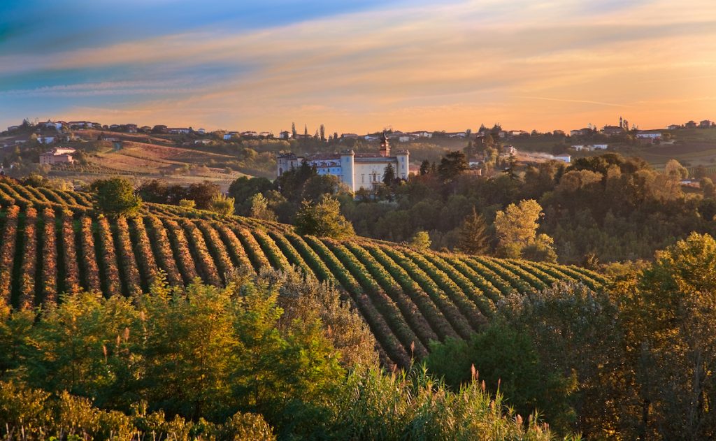 D'Asti region in Piemonte at sunset in autumn