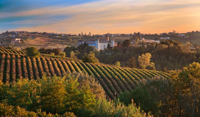 D'Asti region in Piemonte at sunset in autumn