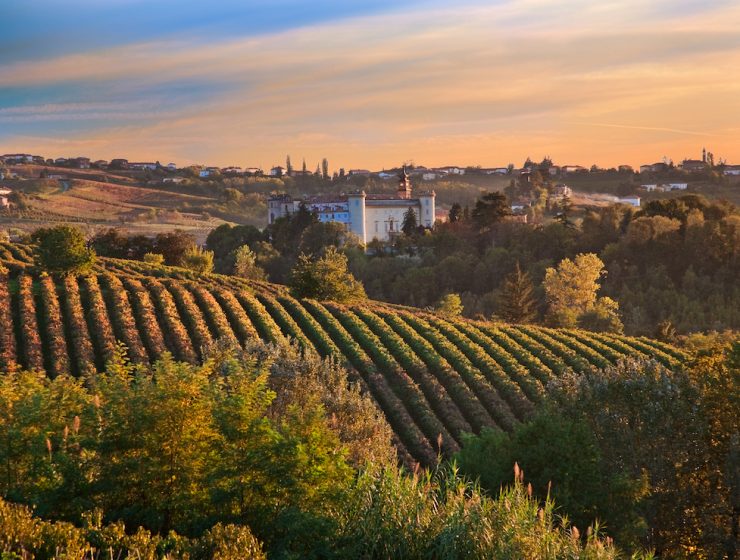 D'Asti region in Piemonte at sunset in autumn