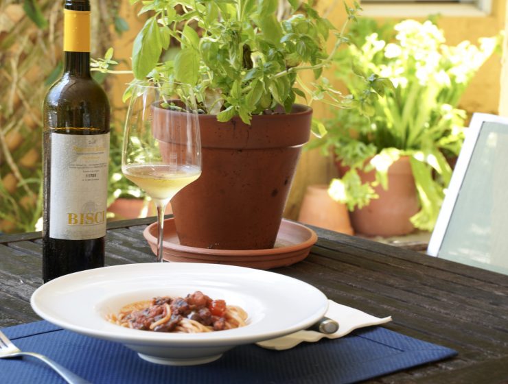 Octopus Spaghetti and Verdicchio