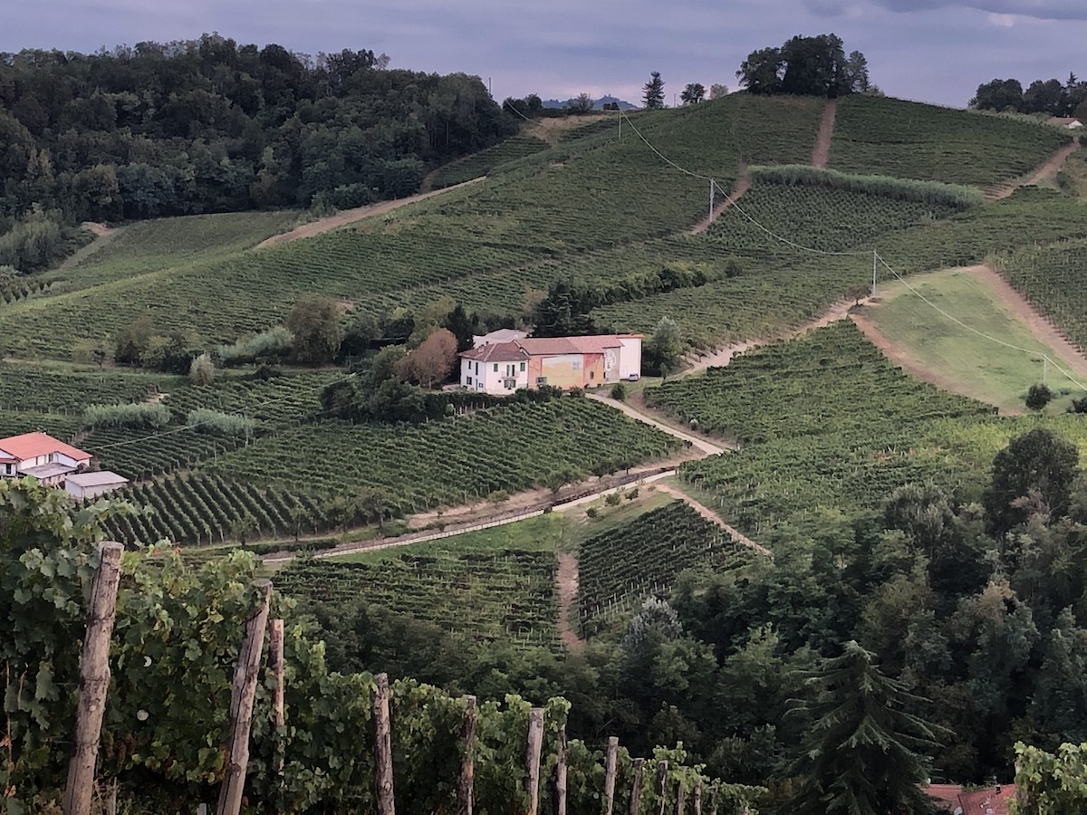 Wine Tourism in Piedmont, Italy. Which wineries to visit in Piemonte.