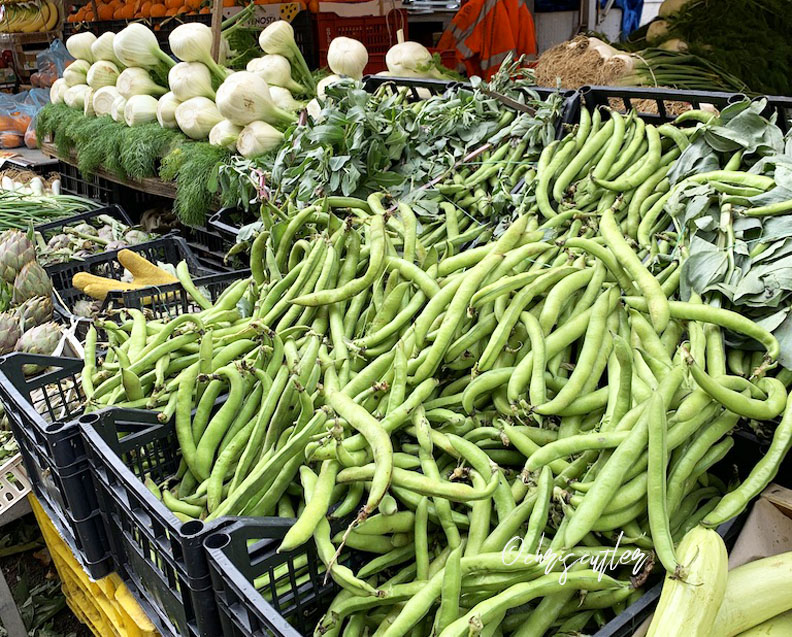 beans, fennel, squash at the market