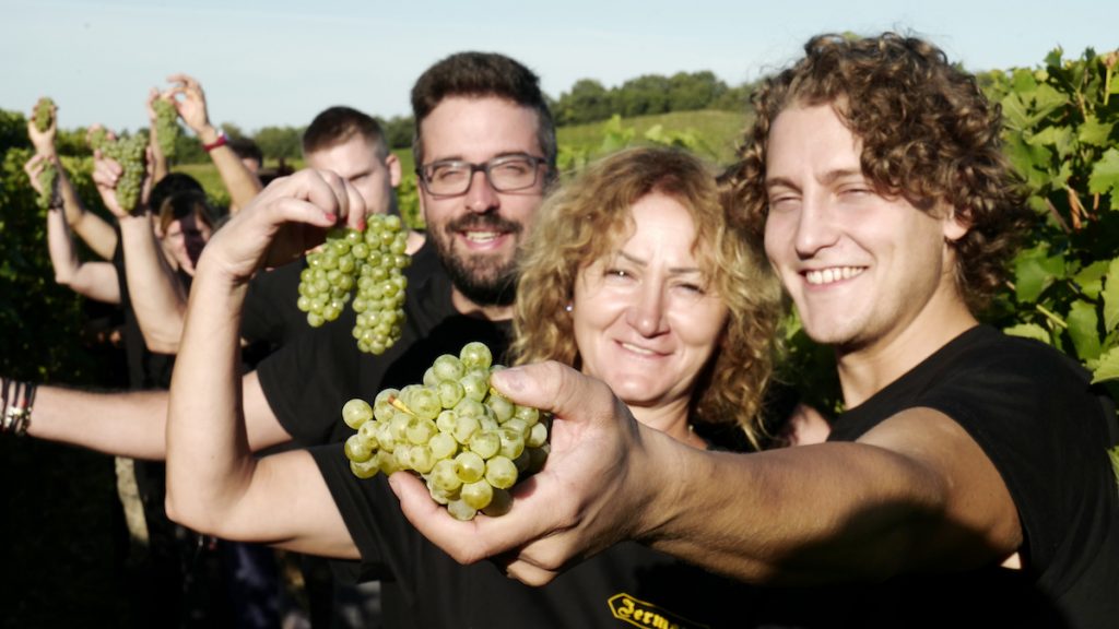 Felix Jermann with his family in vineyard