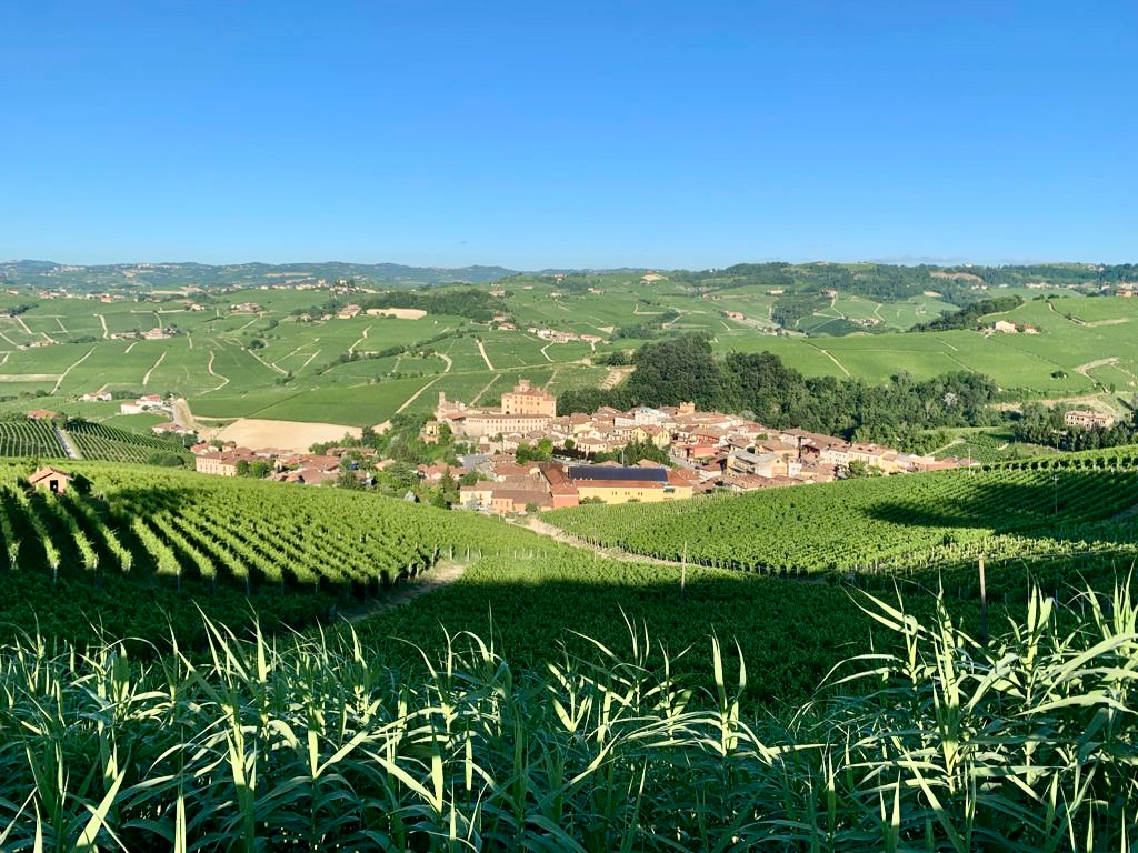 Piemonte : from hillside looking over Barolo township.
