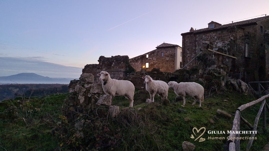 Tuscia's small villages.