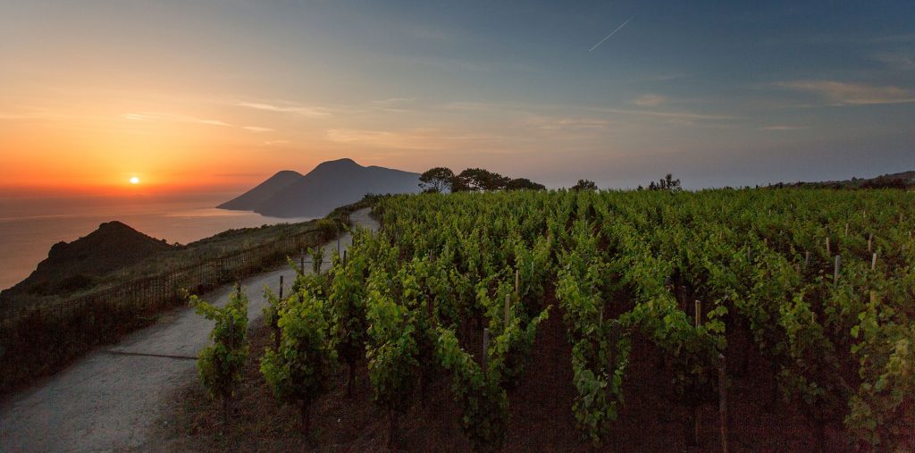 Tenuta di Castellaro winery - Sicily wine region