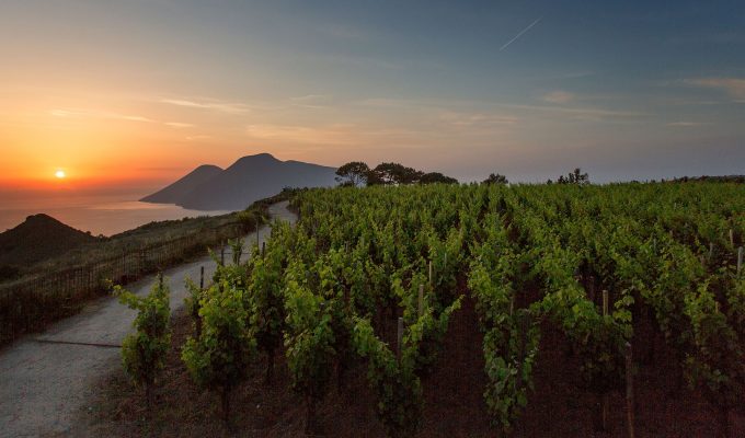 Tenuta di Castellaro winery - Sicily wine region