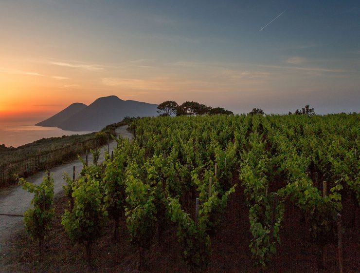 Tenuta di Castellaro winery - Sicily wine region