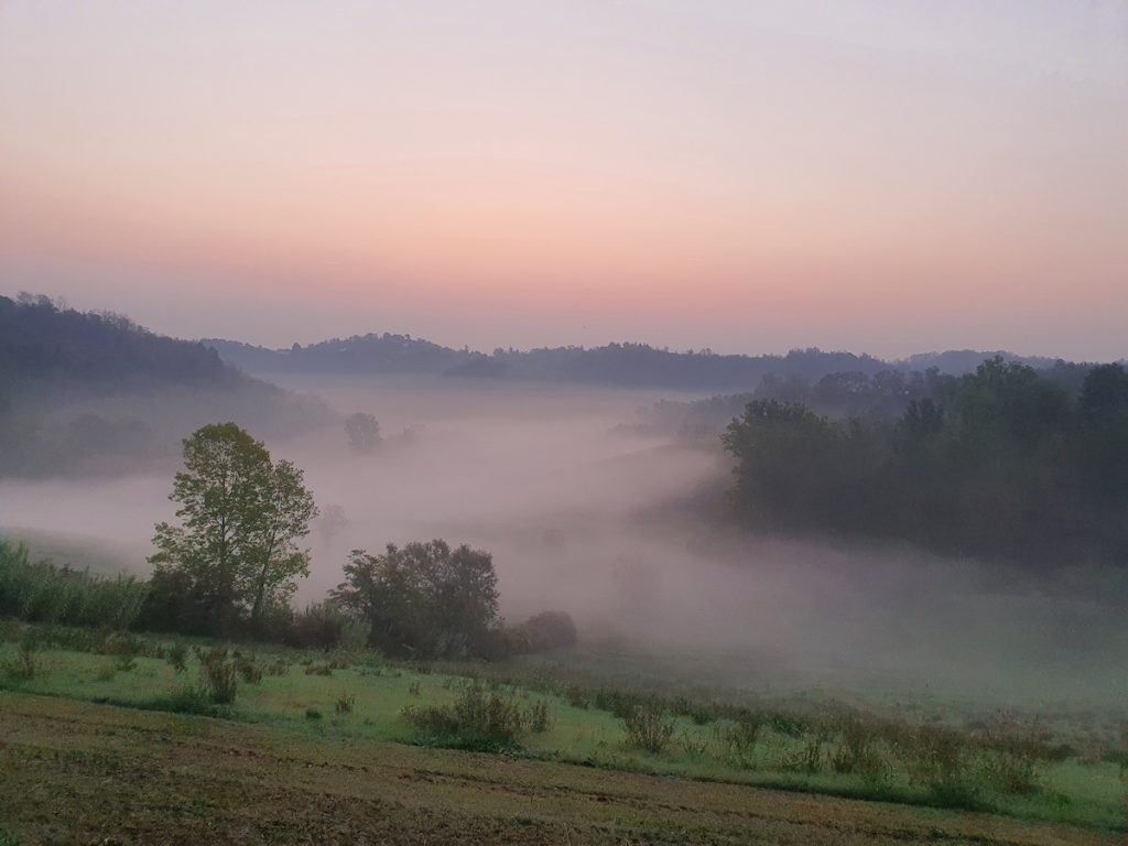 enchanting Monferrato - fog over Piemonte landscape