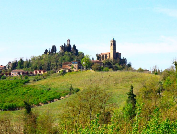 Enchanting Monferrato