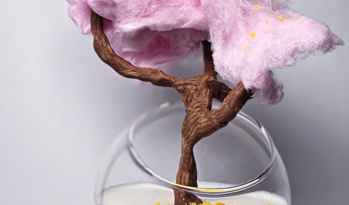 bonsai dessert in a glass