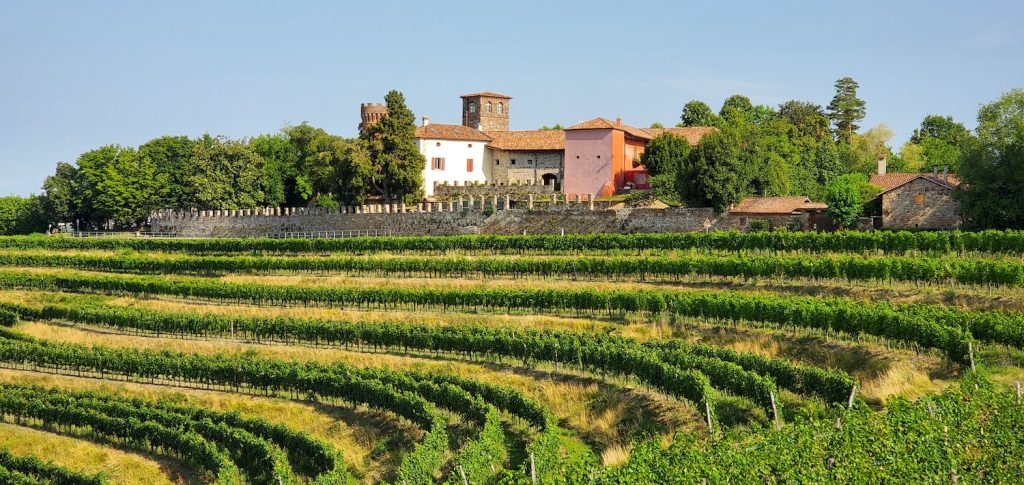 Italian wine vineyard in Northern Italy