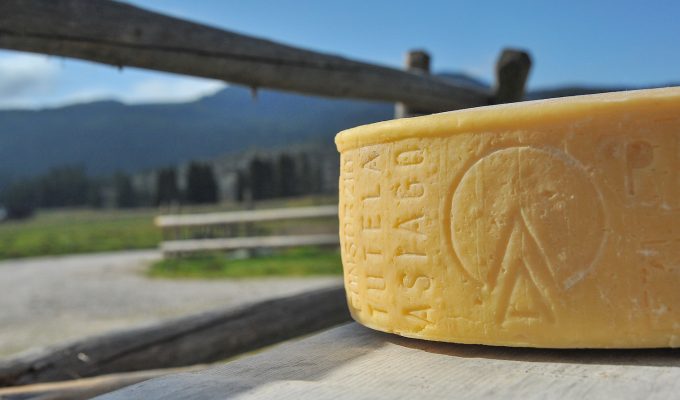 Asiago DOP