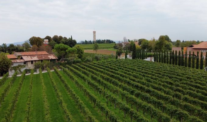 Lugana DOC Salva Capuzza