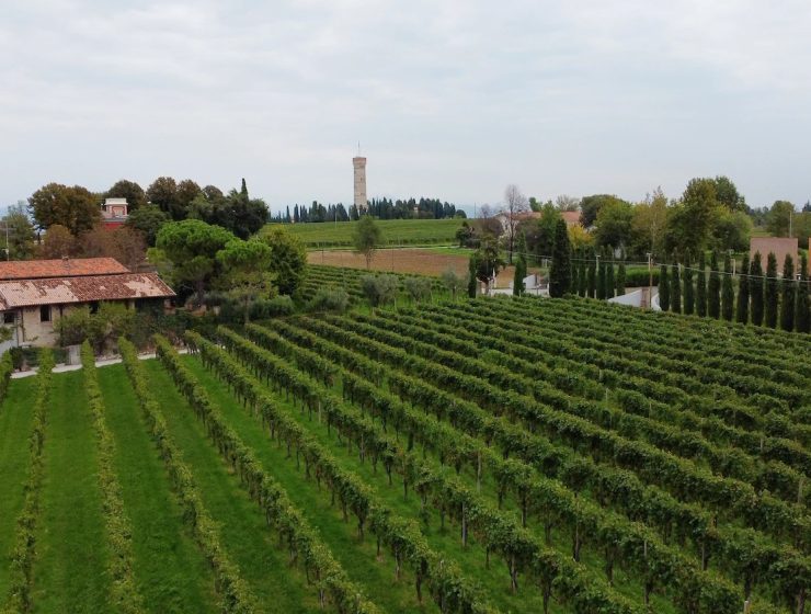 Lugana DOC Salva Capuzza