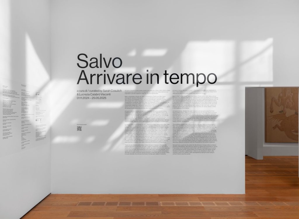 installation view Salvo. Arrivare in tempo in Turin