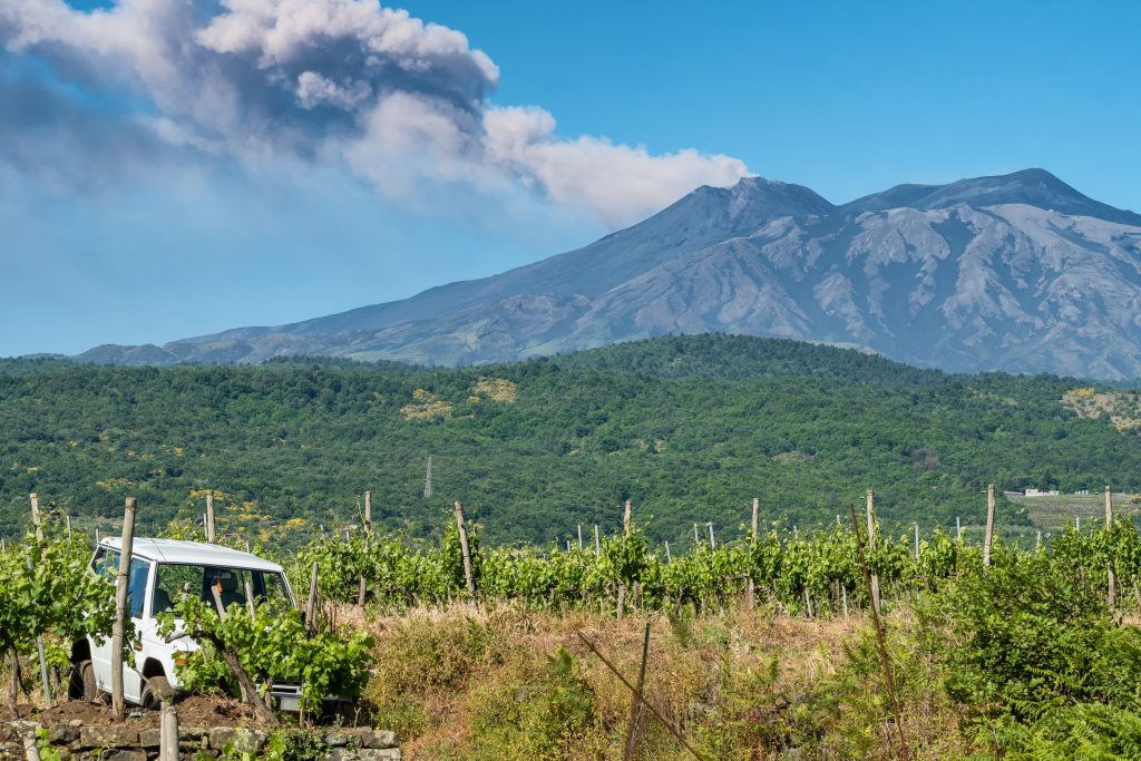 Mount Etna and vineyard in Sicily