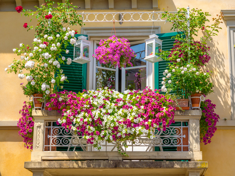 Sound of Italian summer -- balcony window, flowers open window shutters Lucca Italy