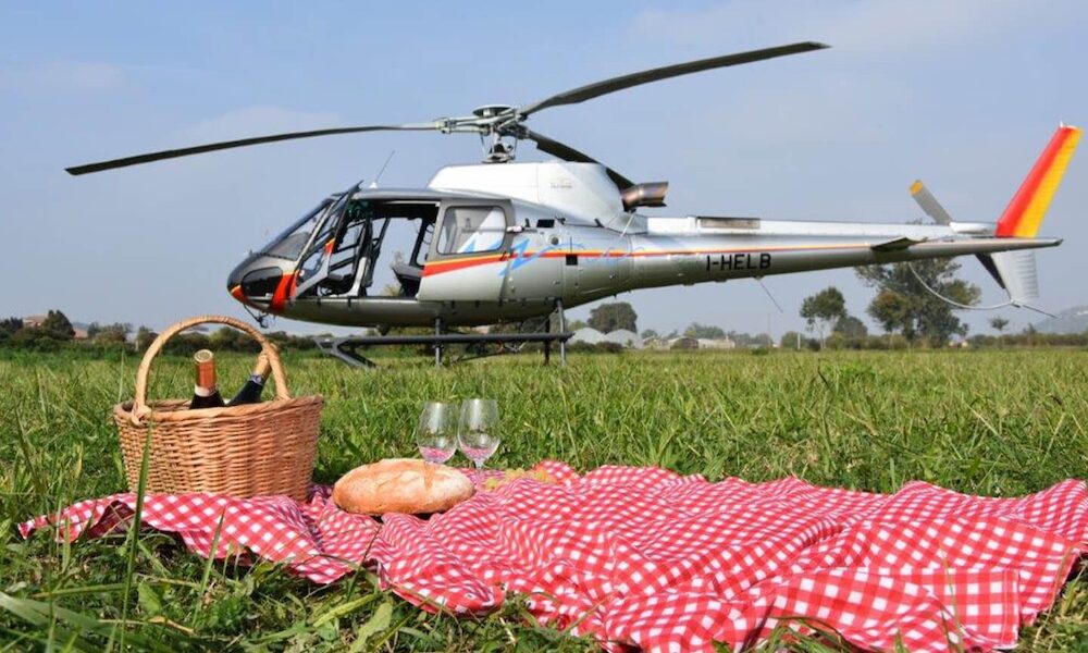 helicopter on green field with picnic basket in foreground