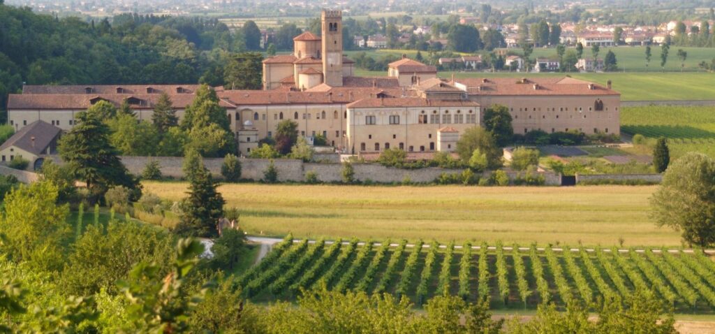 Panettone with blueberries, walnuts and oranges on kitchen countertop