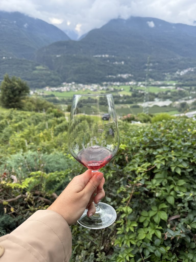 Glass of Sforzato di Valtellina wine overlooking the Alps