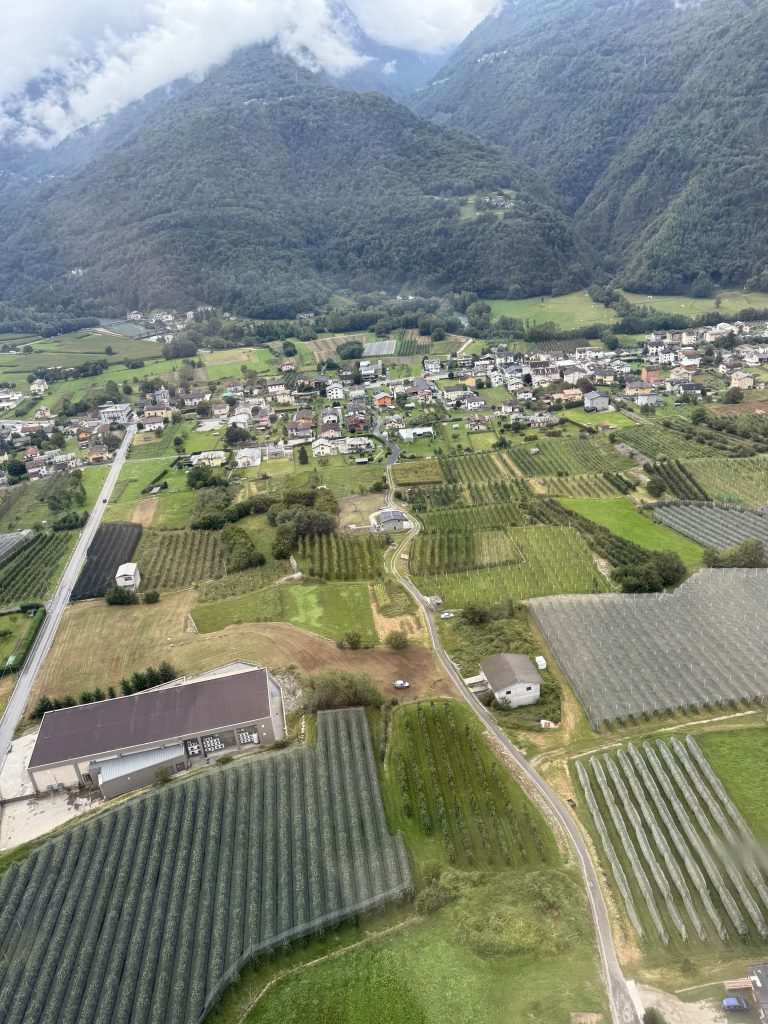 Terraced vineyards of the Valtellina wine region in Lombardy