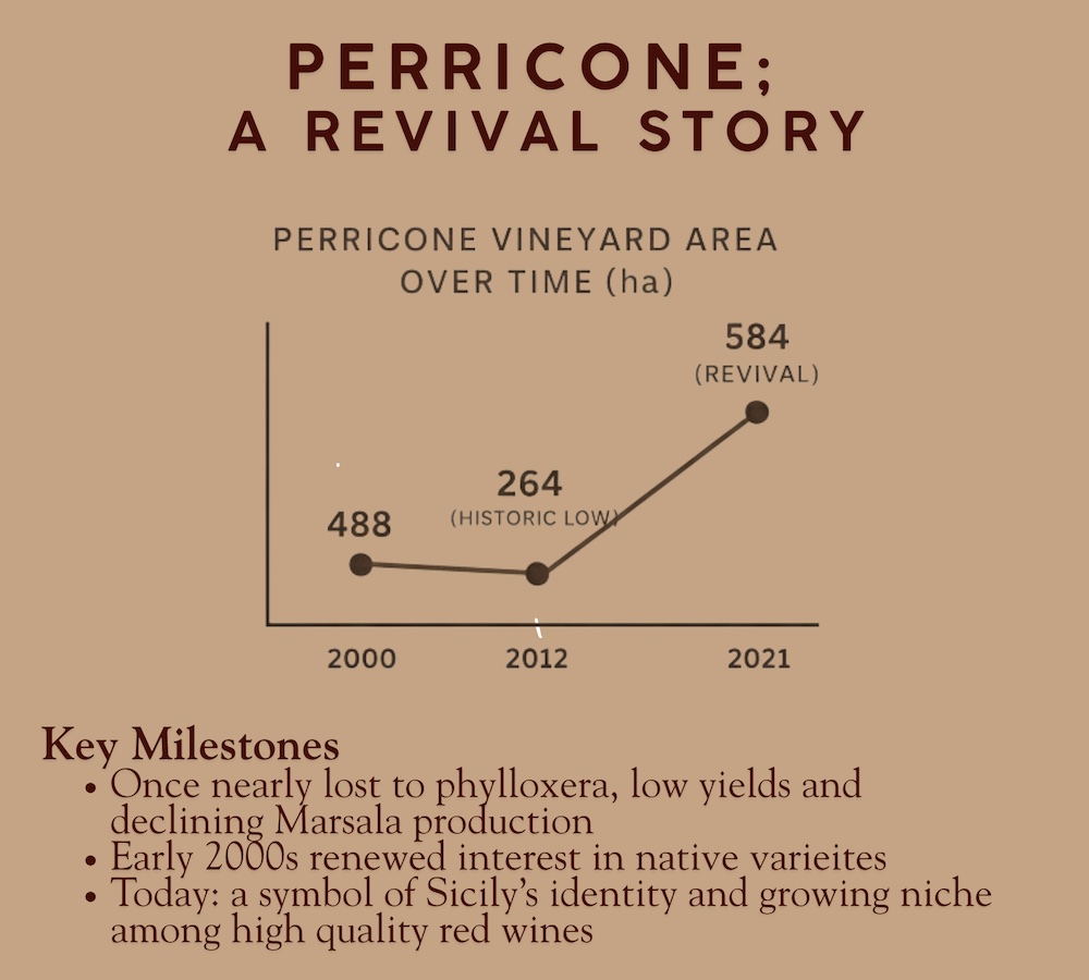 Perricone vineyard timeline and milestones graphic