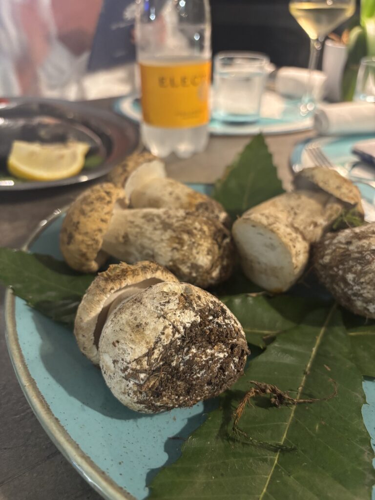 Porcini mushrooms from Ischia