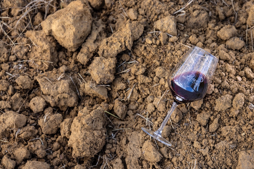 wine glass with Morellino logo on vineyard ground