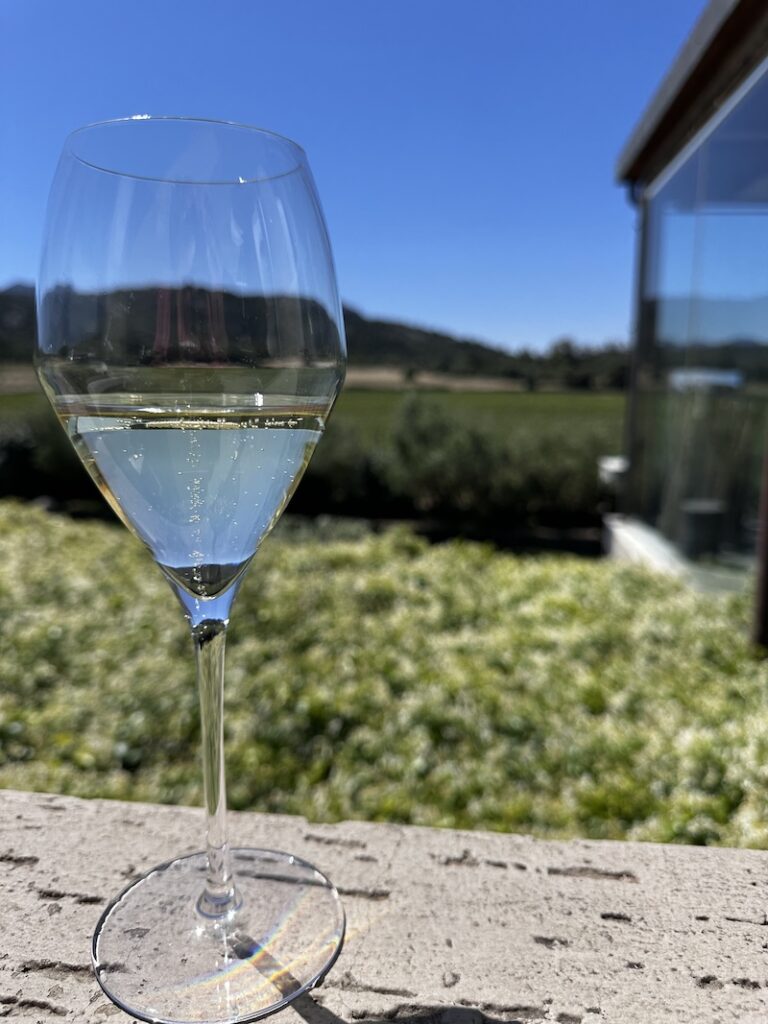 Vermentino di Gallura - glass of wine overlooking a vineyard in Sardegna