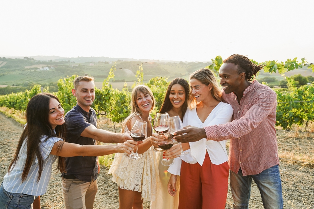 friends enjoying wine in vineyard picnic day
