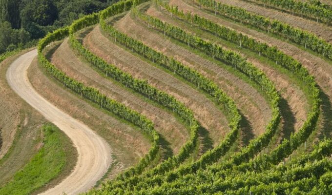 Italy Wine Routes