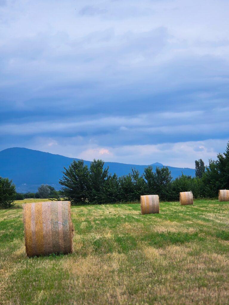 Umbrian countryside landscape near Bevagna under summer skies