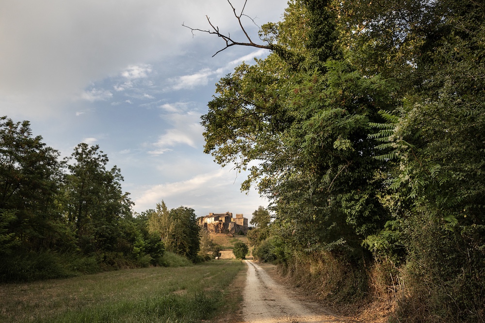 Rural road leading toward a historic hilltop property in Central Italy, photographed by Luca Catalano Gonzaga