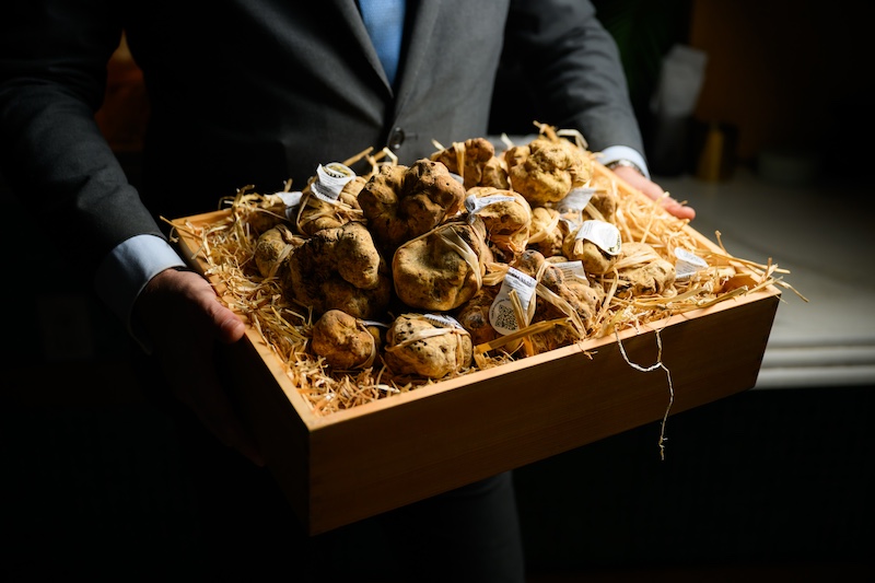 Fresh Italian white truffles presented in a wooden box