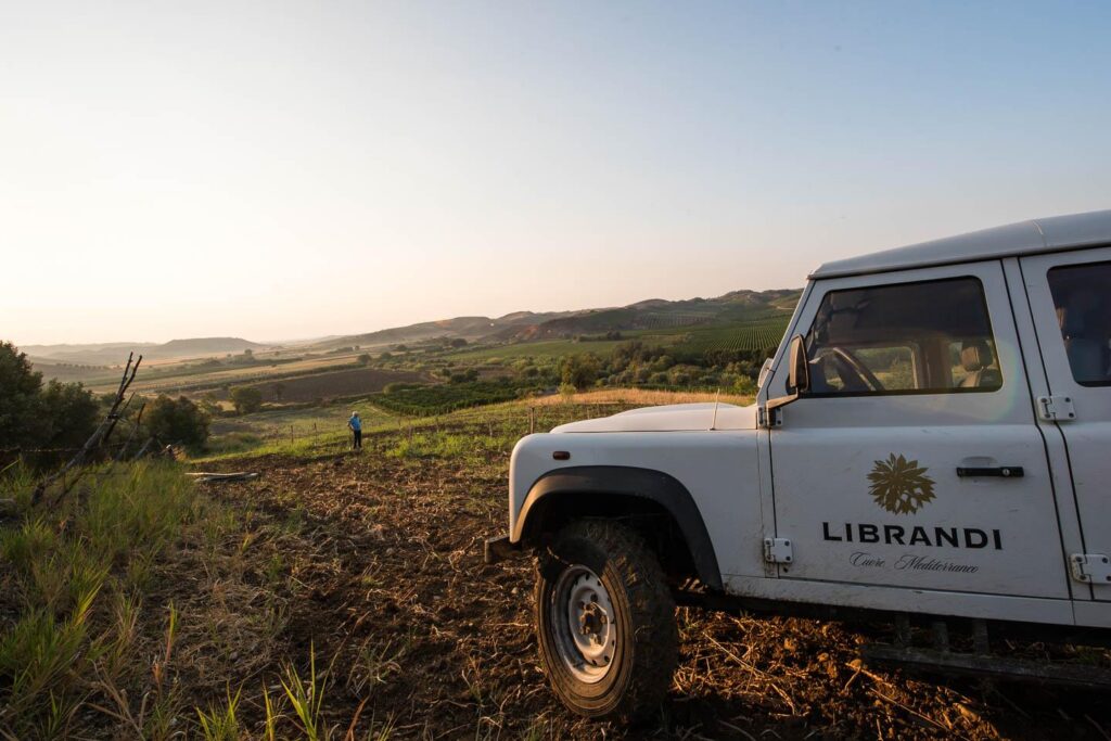 Librandi-branded off-road vehicle overlooking vineyards and rolling hills during a winery tour in Calabria.