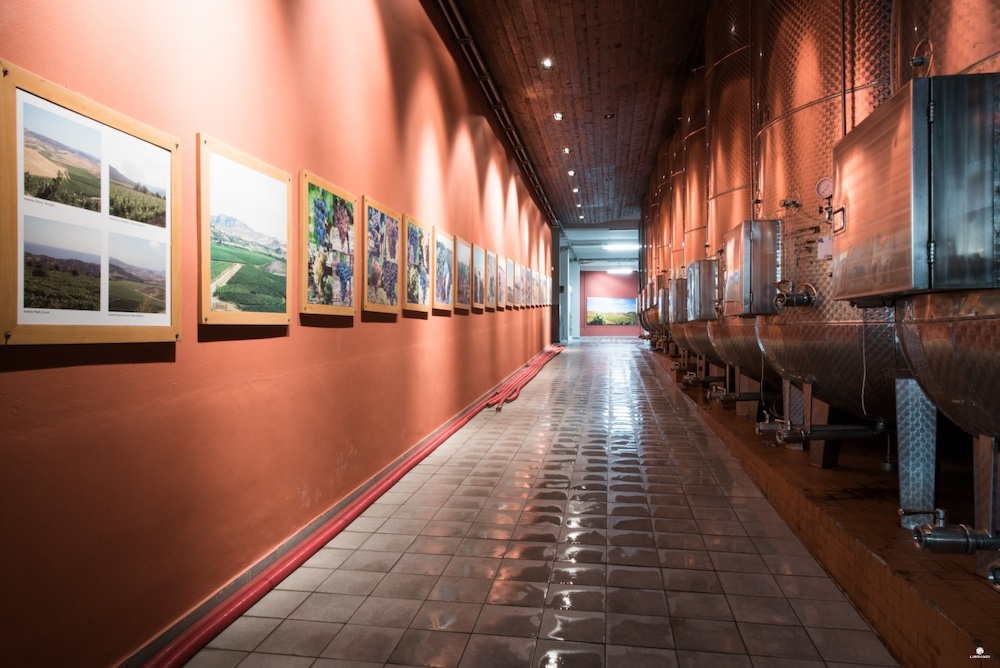 Stainless steel wine fermentation tanks beside a gallery of vineyard photographs inside Librandi winery in Calabria.